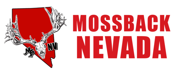 MB NV Web logo