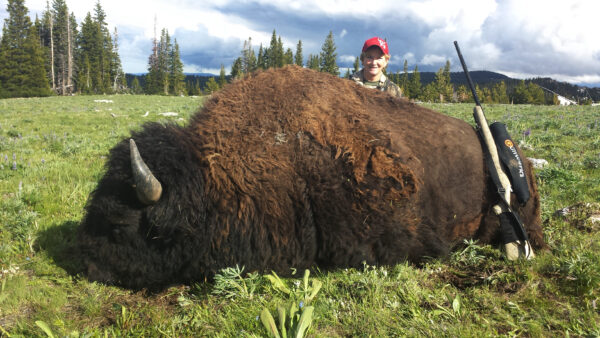 MossBack