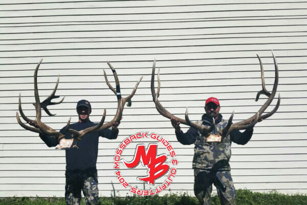MossBack
