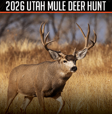 Deer Hunt