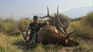 MossBack California Tule Elk