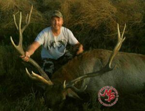 California Tule Elk